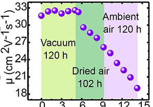 Stable Narrow-Bandgap Two-Dimensional Material Discovered