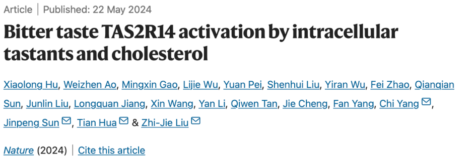 New study uncovers molecular mechanisms of bitter taste perception